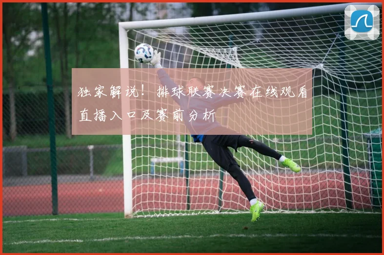独家解说!排球联赛决赛在线观看直播入口及赛前分析